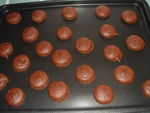 DSCF0252