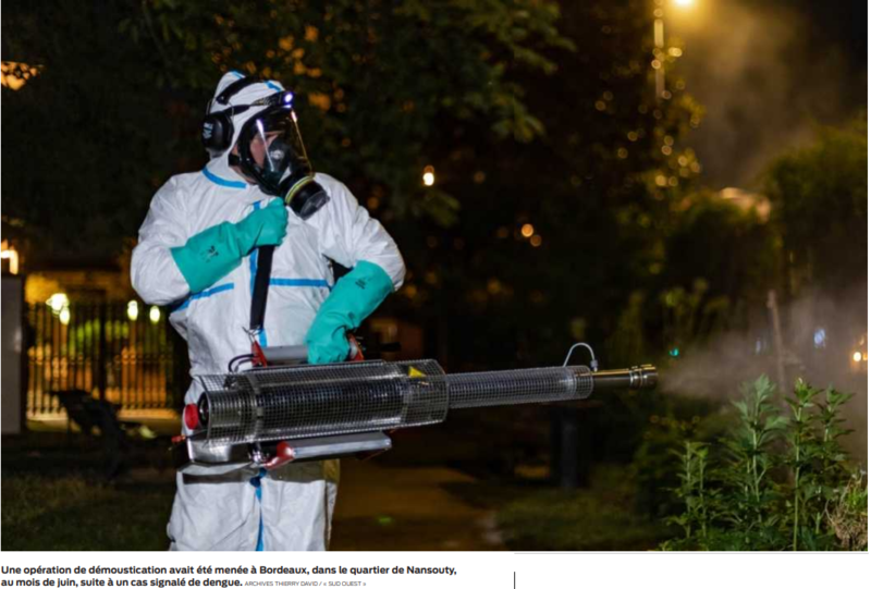 2022 08 31 dengue