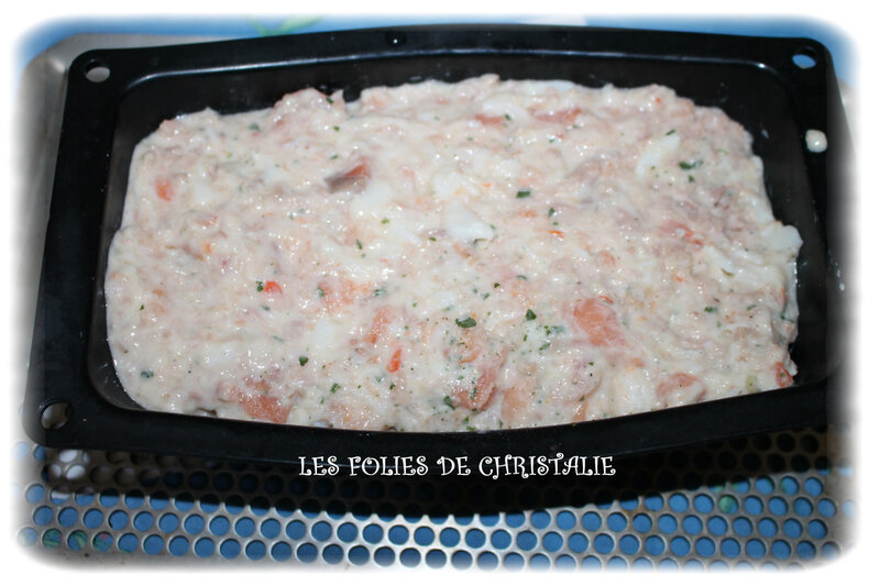 Terrine poisson 3