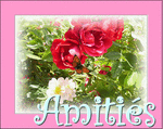 rose_AMITIE_pap_double12