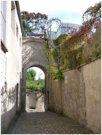 Semur_en_Auxois__8_