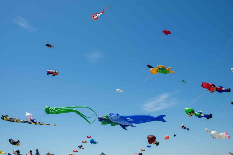 Cerf-volants-2