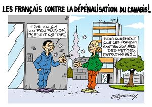 non a la depenalisation web