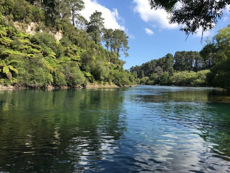 Taupo rivière 2