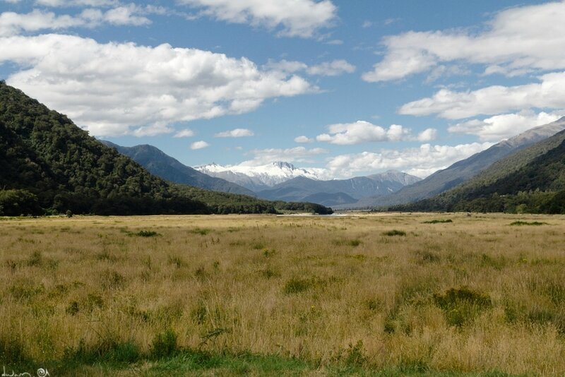 Haast HAwea-2