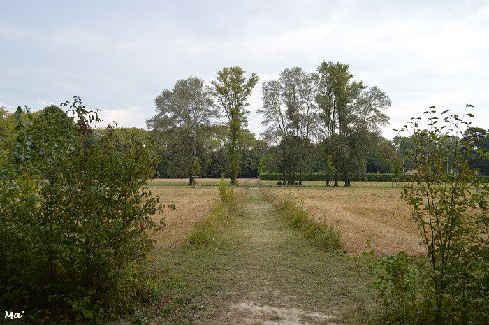 180930_parc_Lorient_5