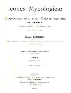 Boudier2