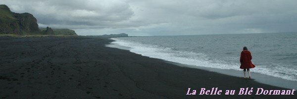 L'Atlantique Nord, c'est froid, très froid. Vik.