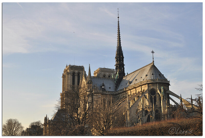 Paris_Notre_Dame_fleche
