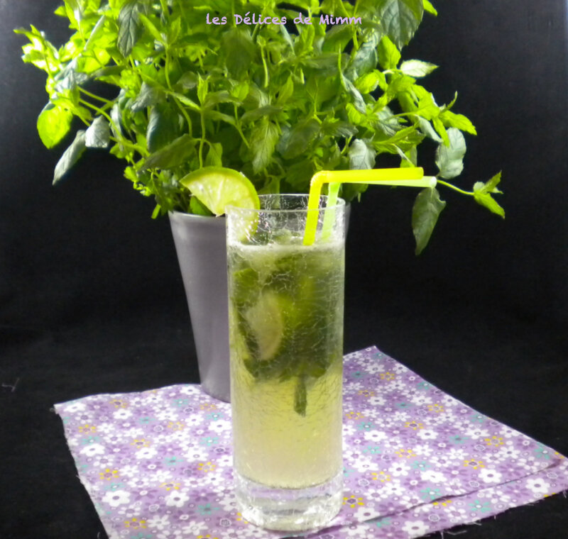 Virgin mojito à consommer sans modération 3