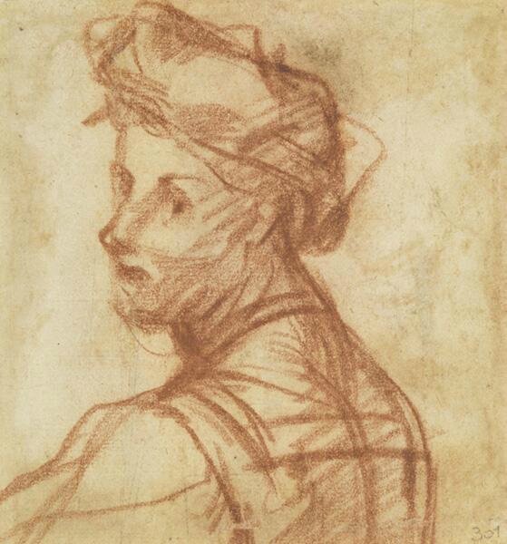 Study of a Young Man, ca