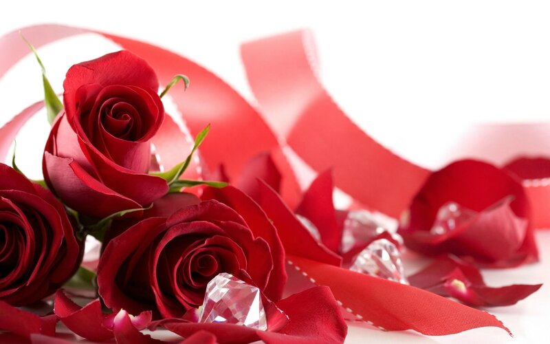 fonds-ecran-st-valentin-fleur-rose-19