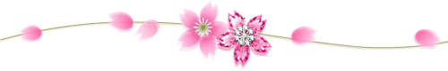 Gif barre séparation deux fleurs roses scintillante et volutes roses 50pixels
