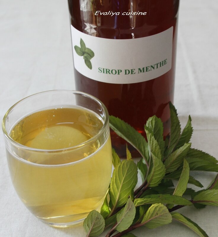 Sirop de menthe 2