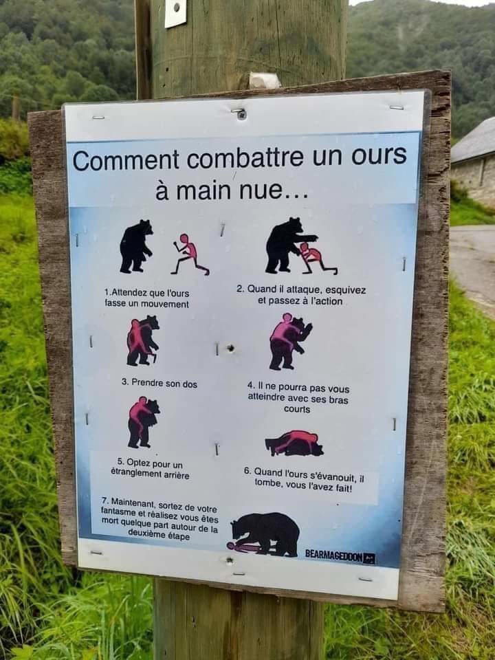 combattre un ours
