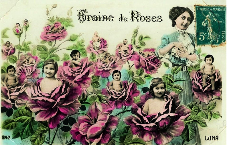 Graines de Poilus 75