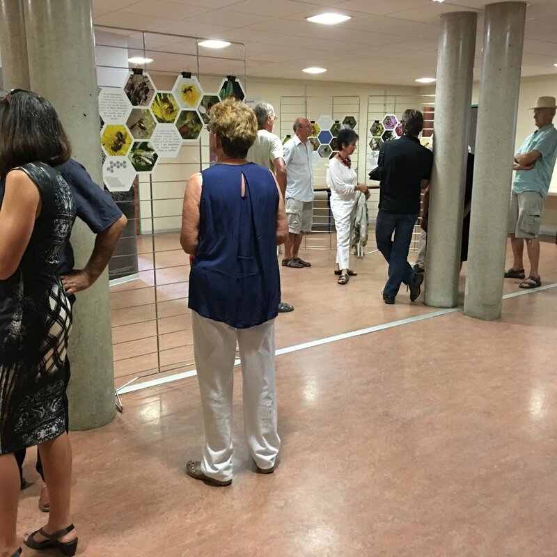 ExpoAbeilles 20juillet16