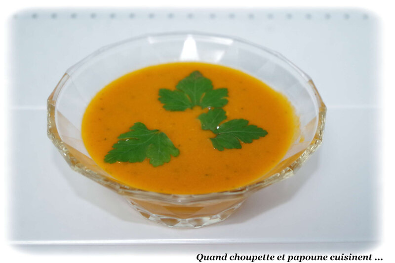 velouté de tomates au thermomix-5605