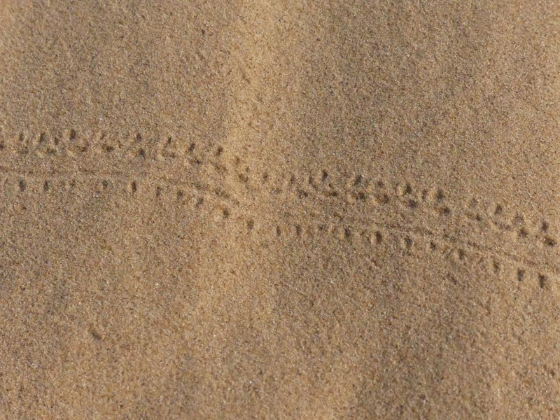 P1190800