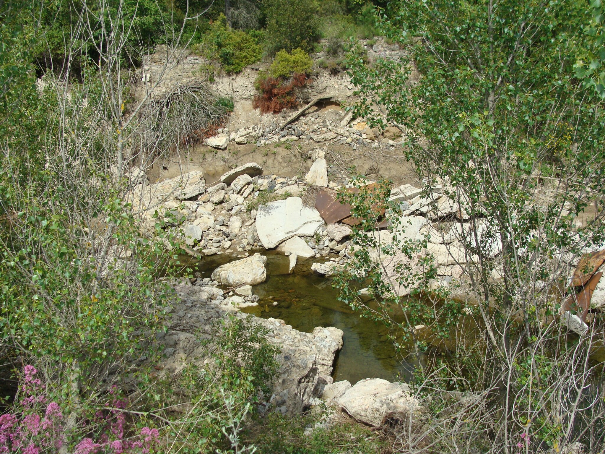 Barrage de Malpasset (20)