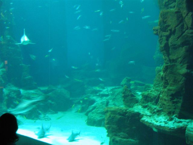 20juin2008 121
