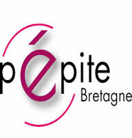 Résultat de recherche d'images pour "pepite-bretagne.ueb.eu"