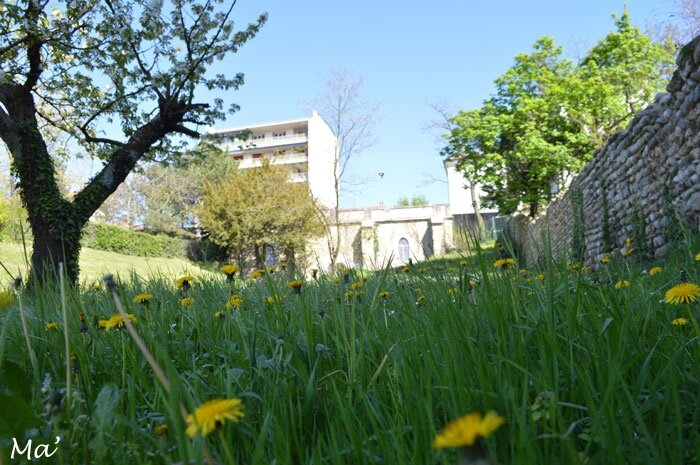 150412_parc_trinitaires9