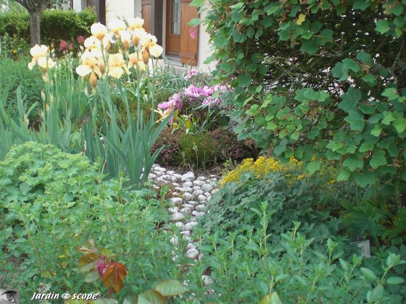 Le jardin devant et sa rivière de galets