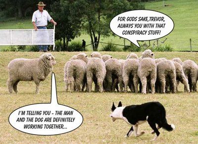 sheep_dog_trials_im_telling_you_the_man_and_the_do