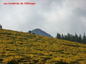 Le Mont Mézenc 09-06-2012-0014