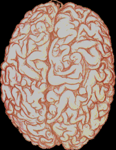 cerveau