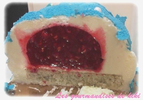 buche vanille framboise 12