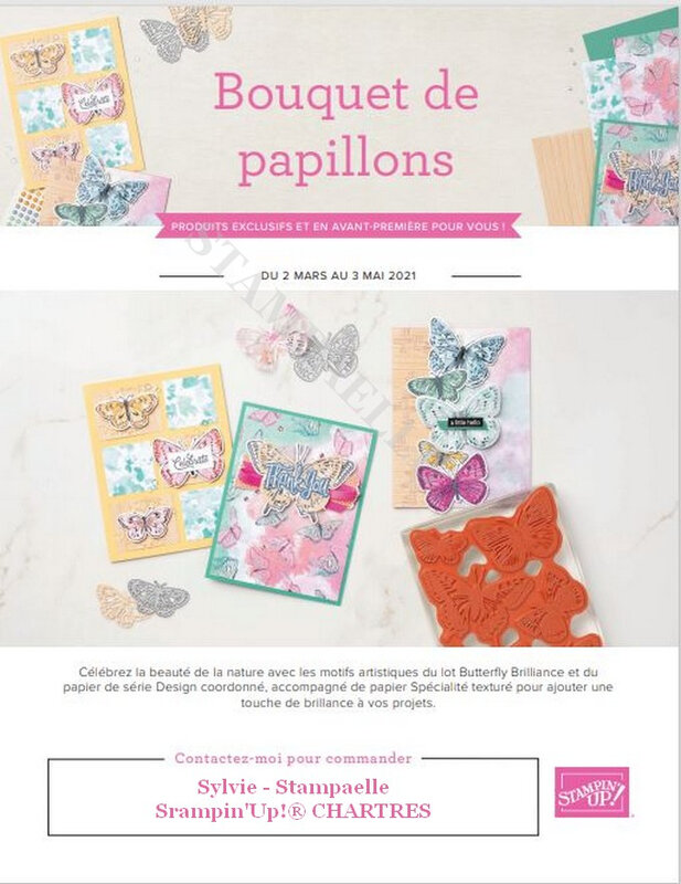 bouquet de papillons