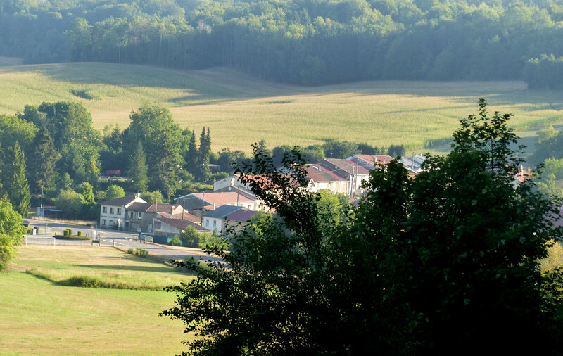 P1550459