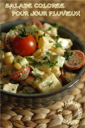 Salade_poulet__ananas__mais__concombre__tomate__curry__coriandre_1