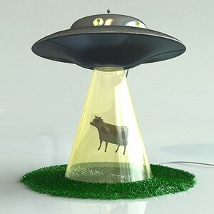 abductionlamp_cow