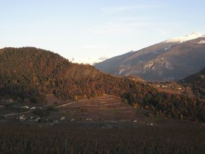 Vignoble Conthey07_13 11 2012