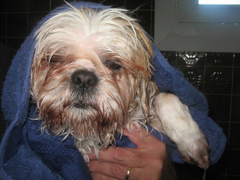 Nugget's au bain samedi 12