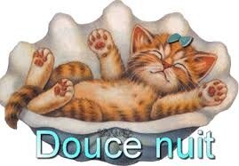 Douce Nuit - Chat - Gif - Gratuit | Douce nuit, Nuit et Gif gratuit