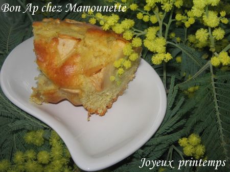 g_teau_aux_pommes_010