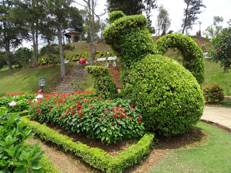 Dalat (84)