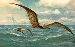 pteranodon_color