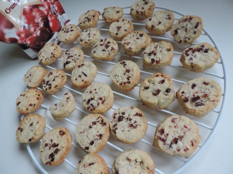 biscuits aux cranberries (12)