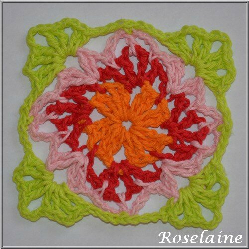 Roselaine 35 Granny Nancy
