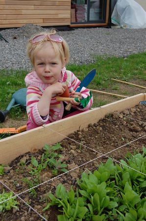 29_mai_jardinage_au_jardin__plantation_des_l_gumes__6_