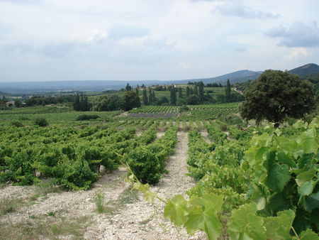 Rousset-les-vignes