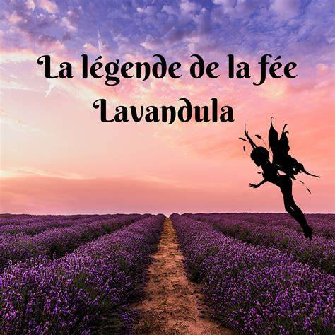 La légende de la fée Lavandula