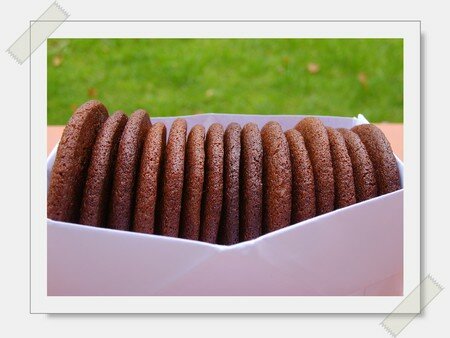 chocolate_ginger_biscuits