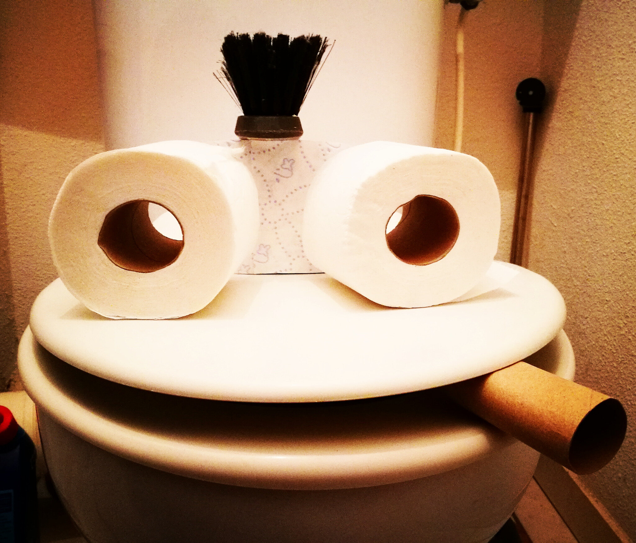 Décorons nos toilettes quand il pleut