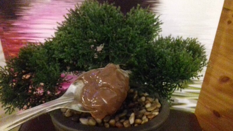 crème dessert choco soja 25